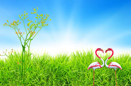 Green grass and blue sky backgroundの写真素材