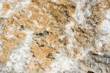 surface of marble with gray tintの写真素材