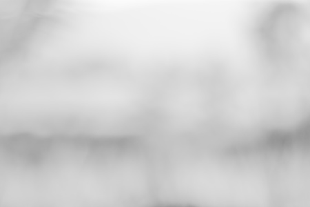 White blurred abstract background / grey abstract background. soft backdrop of nature abstract background. used for wallpaper or backgroundの写真素材