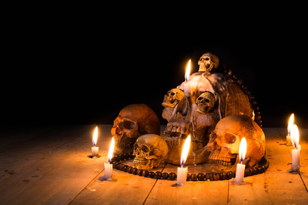 Human skulls lay on wooden floor and black background.の写真素材