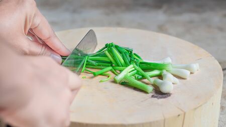 Women are slicing the onion to be used as a condiment in the food menu.の写真素材