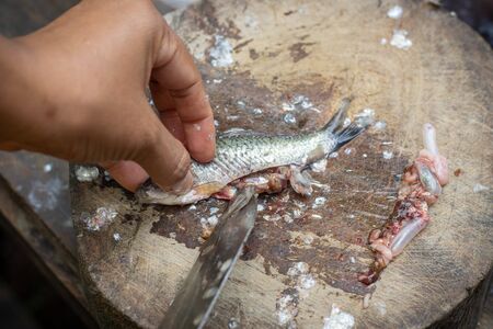 A woman is cutting the belly the fish and taking away the intestines,  Which may have parasites in...