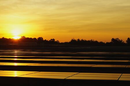 The view of the solar farm(solar panel), alternative electricity source, this's the sun tracking...