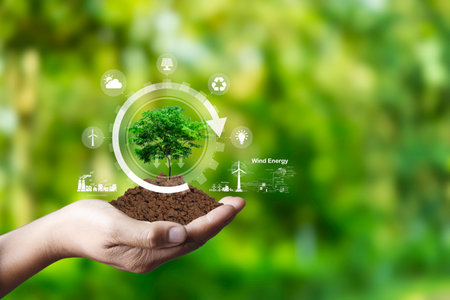Net zero 2050 concept. Hand holding with green tree energy, Wind energy system icon on blur green...
