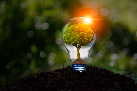 green tree in light bulb on grass nature, eco green energy system. Innovation technology eco energy...