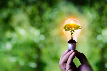 green tree in light bulb on green background, eco green energy system. Innovation technology eco...