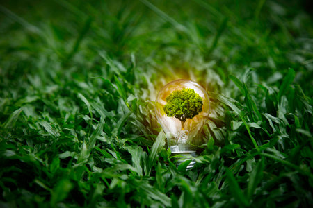 Energy Renewable sustainable. green tree in bulb on nature green grass background. light bulb energy sources for renewable. idea innovation inspiration. Net zero emission  Environmental protection.の写真素材