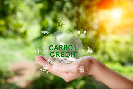 Green energy, Carbon credit market concept.  Gold coin in hand with carbon credit icon on top. Net zero in 2050.Green energy icon around it. Carbon Neutral in industry Net zero emission eco energy.の写真素材