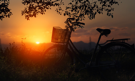 Vintage bike under a tree in the park, classic vintage style bicycle old greeting cardsの写真素材