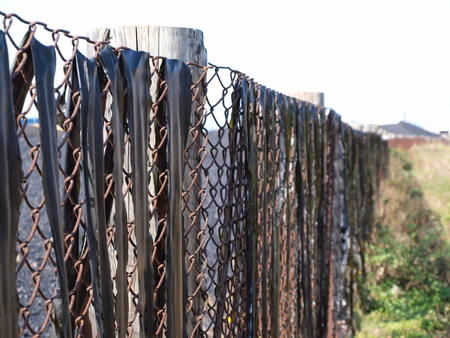 Dried work of kelpの写真素材