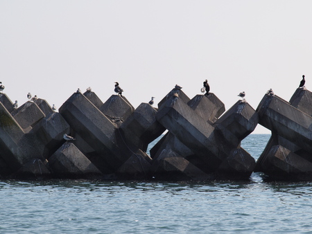 Block lined the coastの写真素材