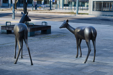 Deer in front of Obihiro stationの写真素材