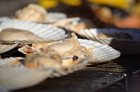 Grilled Scallops with sea shellsの写真素材