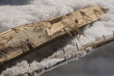 Snow woodの写真素材