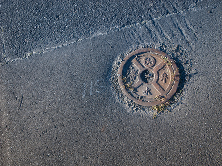 Ground coverの写真素材