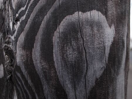 The wood grain