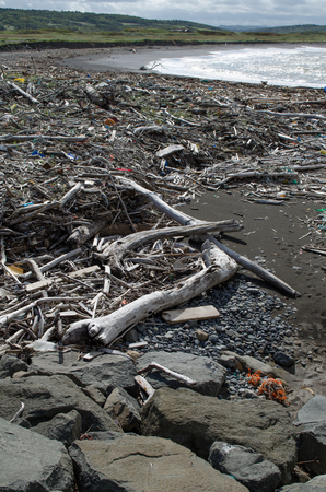 Flotsam and Jetsam of the seaの写真素材
