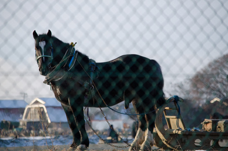 Winter racetrackの写真素材