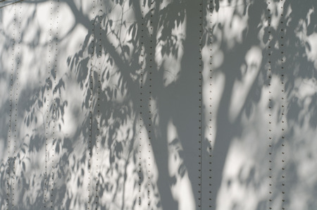 Shadows of the trees on the wallの写真素材