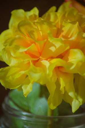 Yellow flowersの写真素材