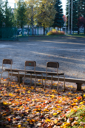 Autumn benchの写真素材