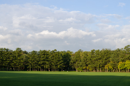 Landscape Parkの写真素材