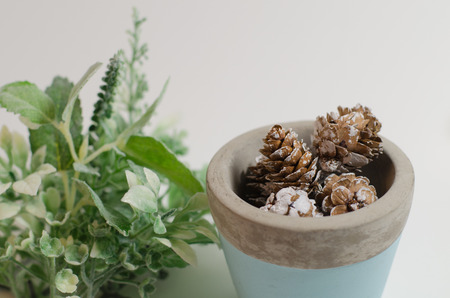 Bowl with greenの写真素材