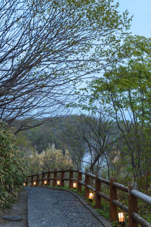 Walking pavement in a park, Hokkaido Japanの写真素材