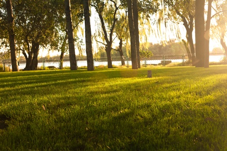 summer landscapeの写真素材