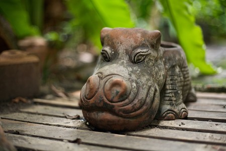 Garden Gnome (1)の写真素材