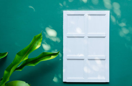 white window on green wallの写真素材