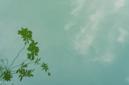 sahdow tree in water