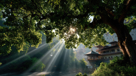 A peaceful scene showcasing sunlight filtering through a dense tree canopy, illuminating a tranquil natural landscape with lush greenery and soft shadows.の素材