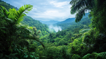 The lush, green rainforest of Costa Rica with space for copy in the skyの素材