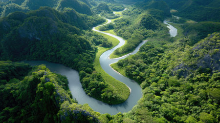Aerial view of a serpentine river winding through a vast expanse of lush green forest, showcasing the beauty of untouched nature and tranquil scenery.の素材