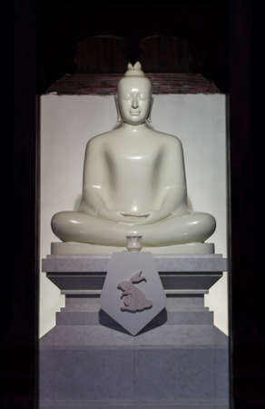 My white Buddhaの写真素材