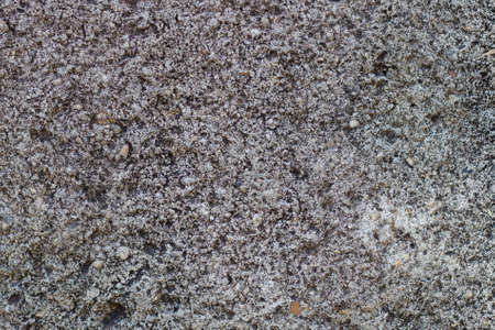 the cement floorの写真素材