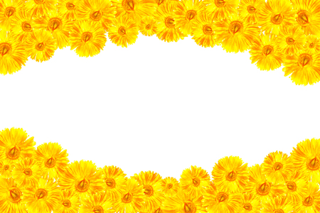 the yellow gerbera frameworkの写真素材