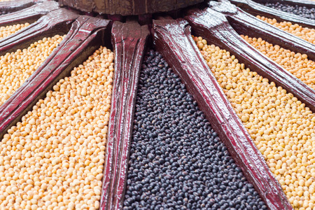 Black Bean and Soybean Plant protein for healthy people.の写真素材