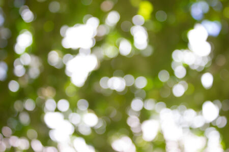 Abstract blur with bokhe of light through the treesの写真素材