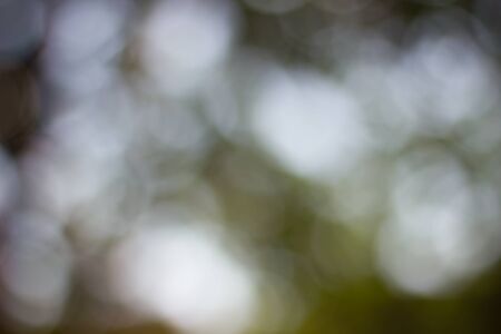 Abstract blur with bokhe of light through the treesの写真素材