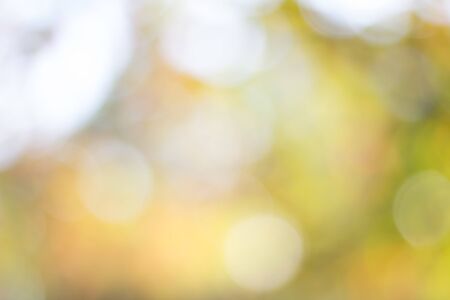 Abstract blur with bokhe of light through the treesの写真素材