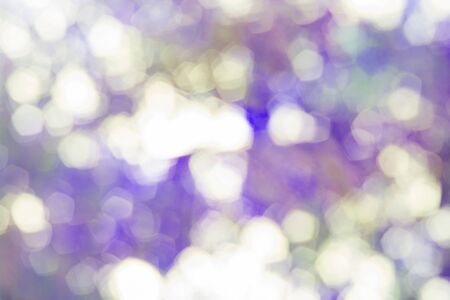 Abstract blur with bokhe of light through the treesの写真素材