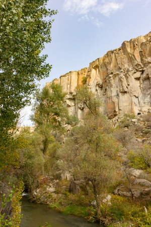 Rich forest IHLARA VALLEY turkeyの写真素材