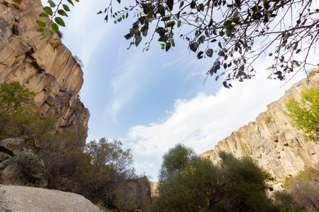 Rich forest IHLARA VALLEY turkeyの写真素材