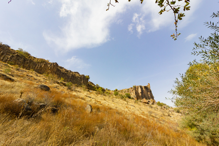 Rich forest IHLARA VALLEY turkeyの写真素材