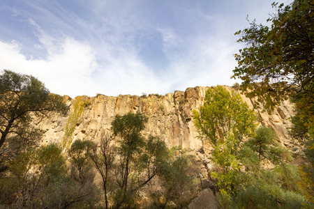 Rich forest IHLARA VALLEY turkeyの写真素材