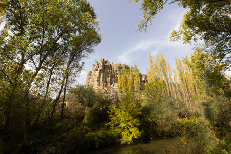 Rich forest IHLARA VALLEY turkeyの写真素材