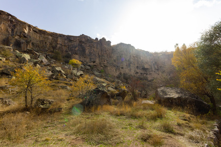 Rich forest IHLARA VALLEY turkeyの写真素材