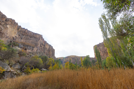Rich forest IHLARA VALLEY turkeyの写真素材
